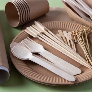Disposable Plates, Utensils, and Napkins